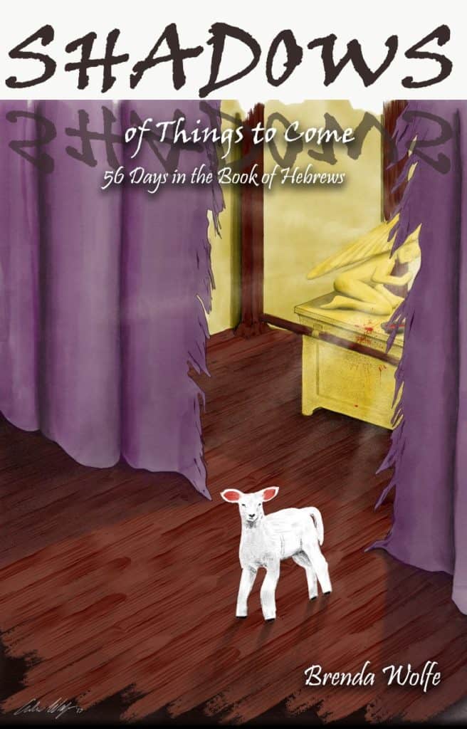 Shadows of Things to Come: 56 Days in the Book of Hebrews