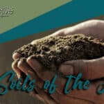 Alive and Active Life