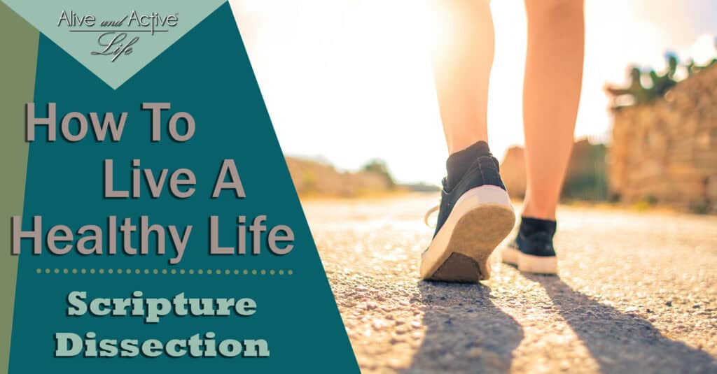 How To Live A Healthy Life – Scripture Dissection
