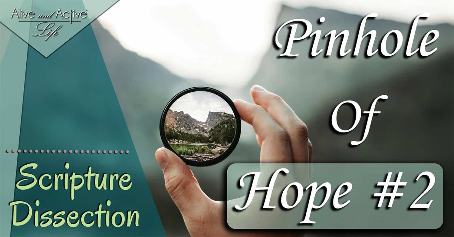 Pinhole Of Hope #2 - Scripture Dissection