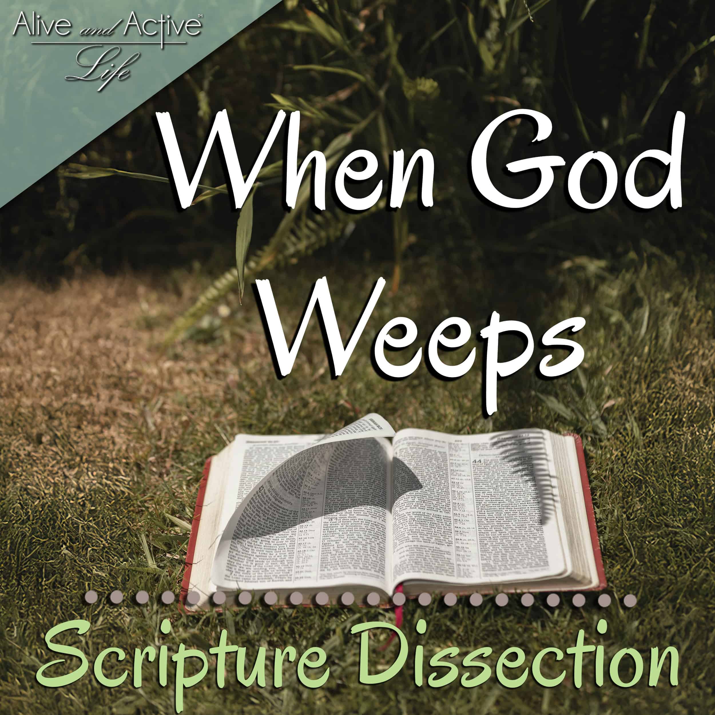 Alive and Active Life