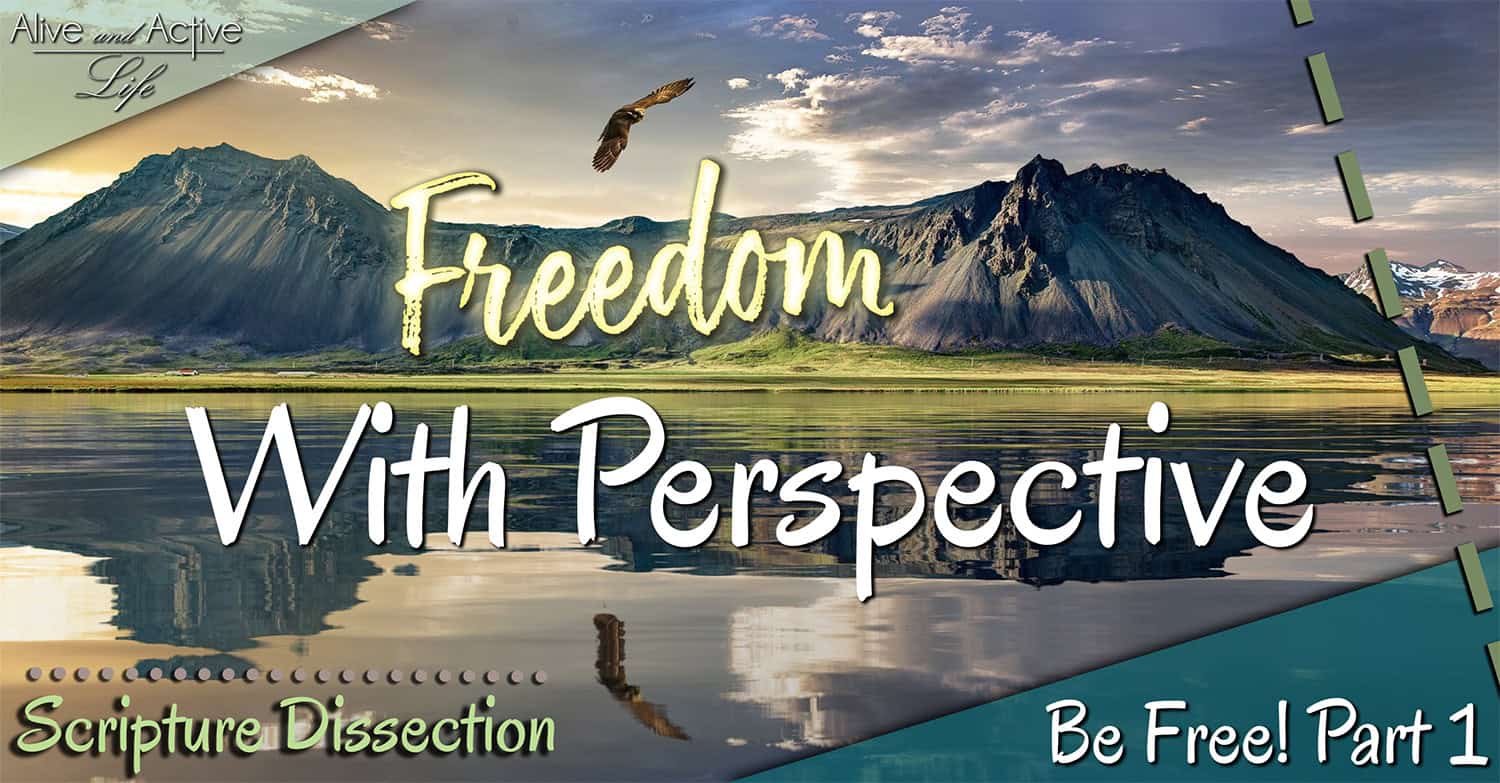 Freedom.Perspective-Scr. Diss. (Be Free! #1)