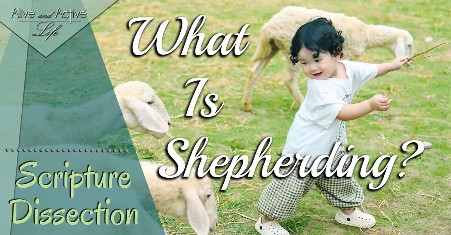 What Is Shepherding – Scripture Dissection What Is Shepherding - Scripture Dissection
