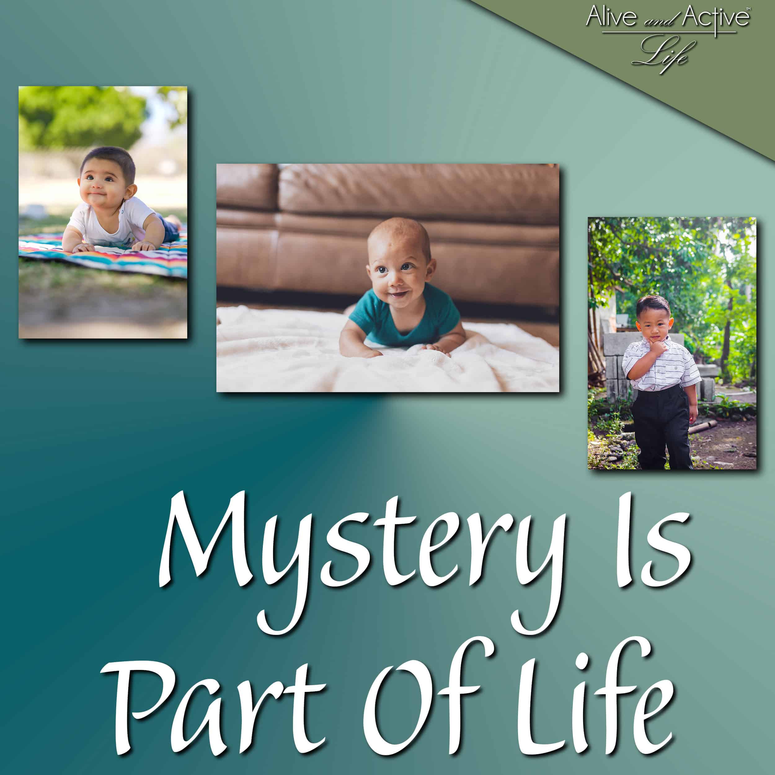 Alive and Active Life